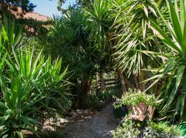 Apartments Yucca, hotel in Novalja