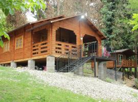 Cypress House, homestay in Novy Afon