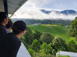 Volcano Panoramic Views