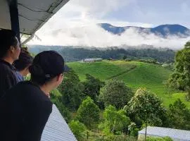 Volcano Panoramic Views