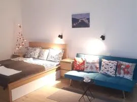 Vila Zuberec apartmán 105