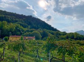 Euganean Hills Natural Park: Casale Il Boschetto, hotel v destinaci Torreglia