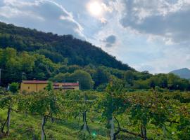 Euganean Hills Natural Park: Casale Il Boschetto, vacation home in Torreglia