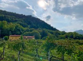 Euganean Hills Natural Park: Casale Il Boschetto