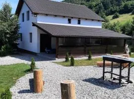 Casa de vacanta Cabana Toto