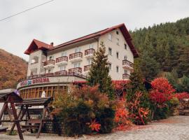 Vila Briana، فندق في بالتينيس