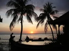 Paradise Palm Beach Bungalows and Dive Center