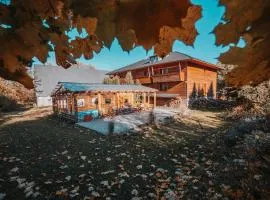 Wellness Pension Koliba