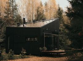 Briežu Stacija Off Grid Cabin, hotel cerca de Ligatne Bunker, Līgatne