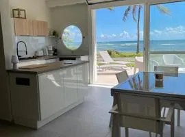 Appartement la Perle, T2 les pieds dans l'eau à 50m de la mer