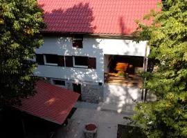 Kuća za odmor Ravno