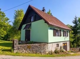 Zalesina에 위치한 호텔 FoRest Chalet