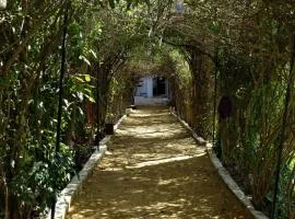 Sukha's Place