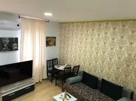 Serban Home Arenele Romane Marius Nasta