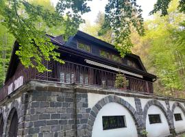 Chata Salamandra, cottage in Michalovce