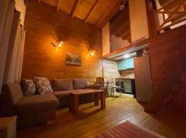 Mavrovo Apartment, lyžařské středisko v destinaci Mavrovo