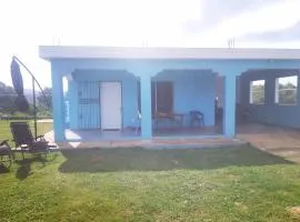 La CASA AZUL - Das blaue Haus - The blue house