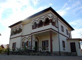 Vila Phoenix, holiday rental in Călimăneşti