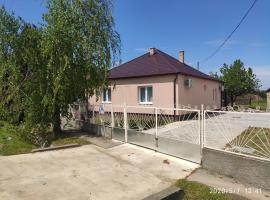 Badak Vendégház, hotel with parking in Beregdaróc