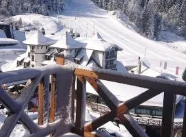 Vučko Apartman U532