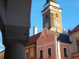 Apartmány pod věží, hotel near Maiswaldschilift, Slavonice