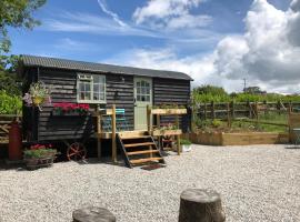 Willow Brook Shepherd Hut, campsite in Sidmouth