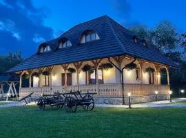 Casa Moroșanului Vișeu de Sus