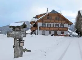 Apartment Salzmannhof by Interhome