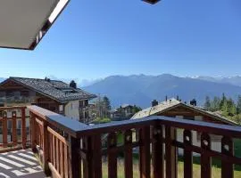 Apartment Les Aiguilles Vertes Rez inférieur by Interhome