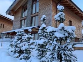 Challet Jasná Exclusive ****, lodge in Demanovska Dolina