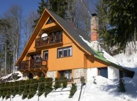 Chalet Mrklov by Interhome