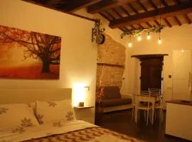 L'ALPACA DELLA ROSSA - AGRITURISMO