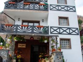 Casa Albert Sinaia, hotel en Sinaia