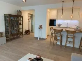 Northastic Suite