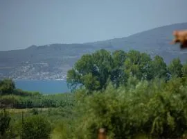 At The Messinian's Bay