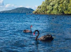 Gemini Lodge, hotell i Rotorua