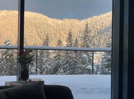 Vila Relax, chalet di Donovaly