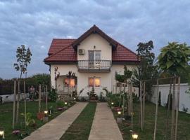 Blue Sky House，巴洛泰什蒂鄉的家庭旅館