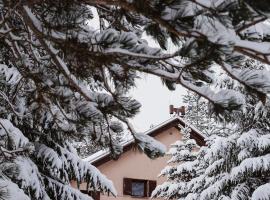 Planinska kuća Munika, hotel in Risovac