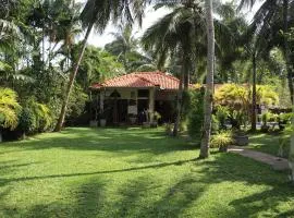 Pavana Hotel