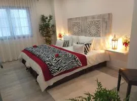 Room Plaza San Marcos CASCO HSTORICO