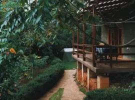 Lushoto Pazuri