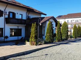 Complex Transalpina, ξενοδοχείο σε Aninişu din Vale