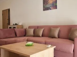 Comfy Central Apartment