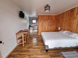 Apart Hotel Antu de Villarrica, locanda a Villarrica