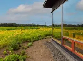 Ezo Shiba - Vacation STAY 12248