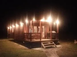 Tiny House am Wald