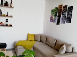 Apartament Raluca, ξενοδοχείο σε Toplita