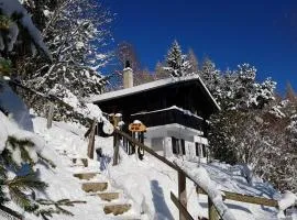 Charming chalet with panoramic view and private parking in Gruyère