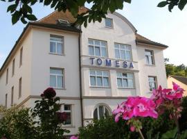 Tomesa Hotel und Gesundheitszentrum, hotel v destinaci Bad Salzschlirf